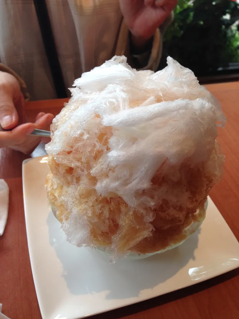 ティーハウスマユール