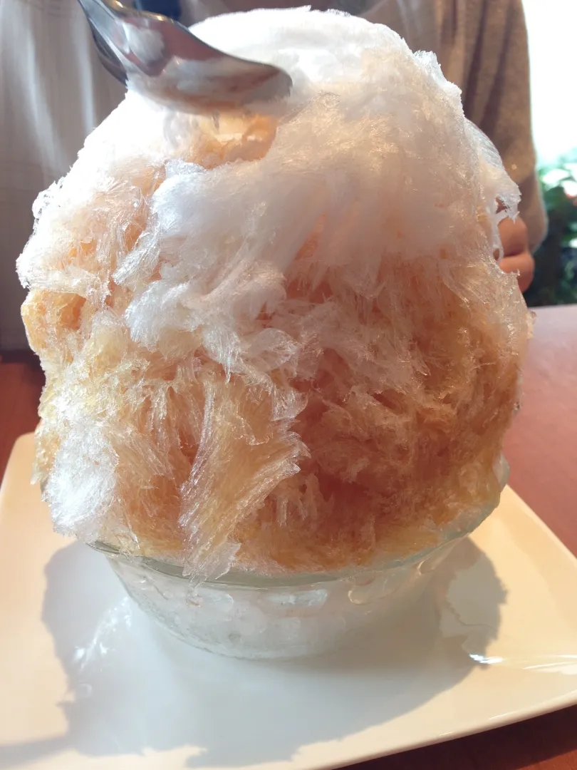 ティーハウスマユール