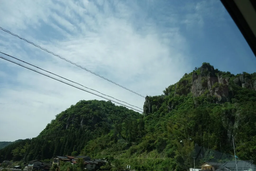 蛍茶園 テンジク