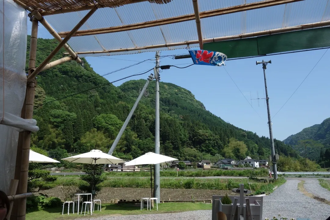 蛍茶園 テンジク