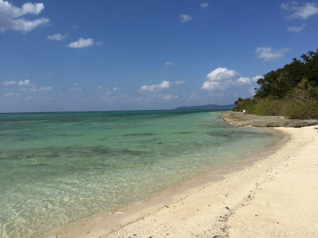 パーラーぱいぬ島