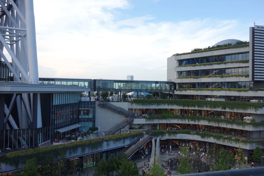 トラットリア ピッコレ ランパーレ