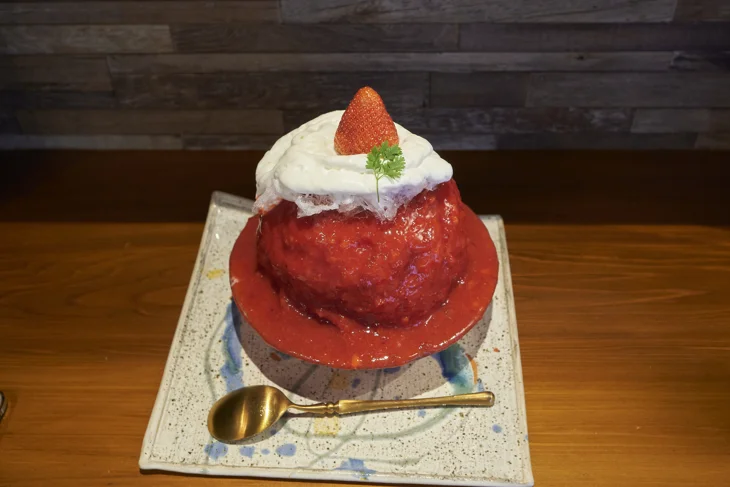 TokyoShaveice アンカードレ