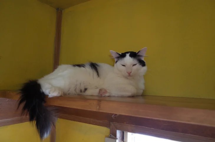 自家焙煎珈琲 みじんこ