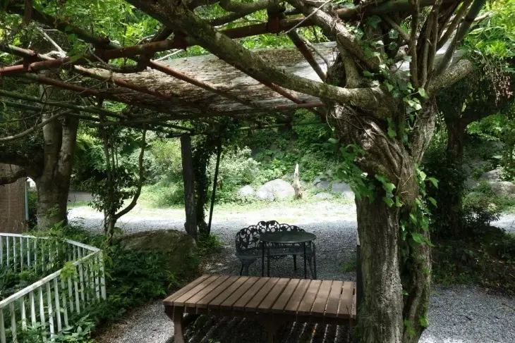 雲上かき氷 / UNJYO COFFEE